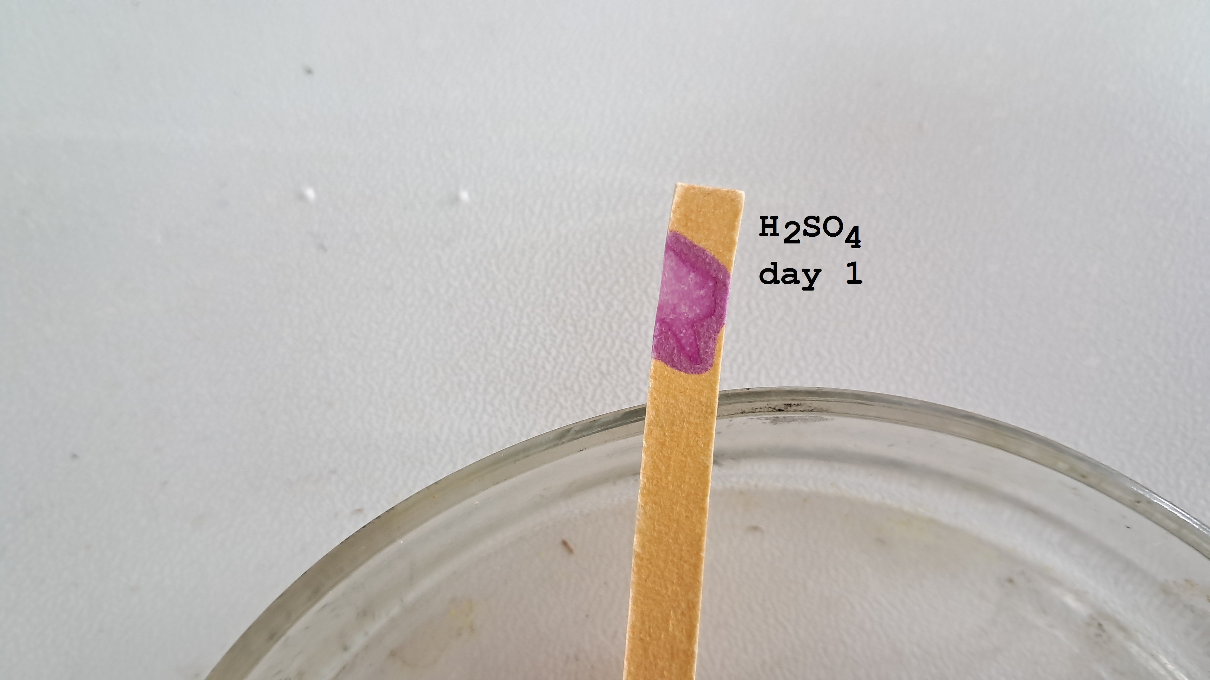 Universal Indicator Paper: Color Change Over Time
